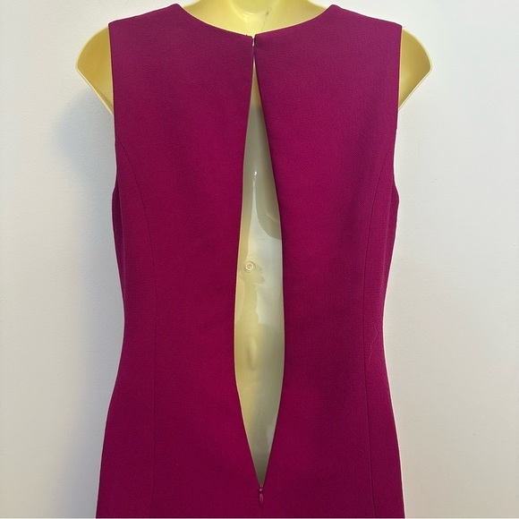 Eliza J Pink Fit and Flare Cocktail Dress - Picture 5 of 9